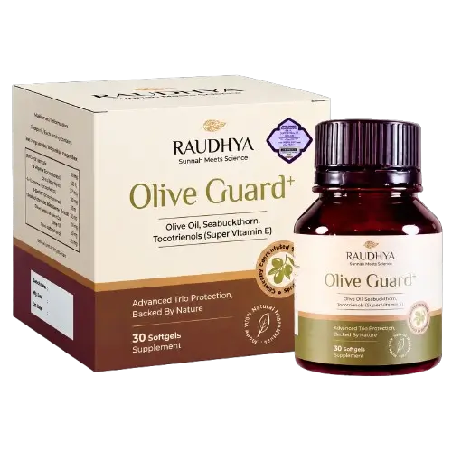 raudhya olive oil 1 botol