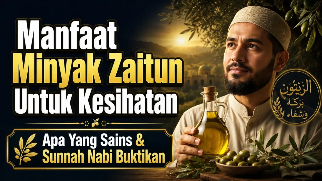 manfaat minyak zaitun